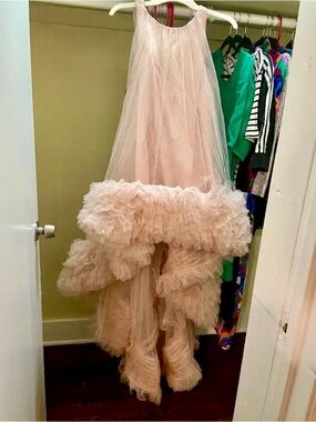 Elegant Pink Ruffled Dress